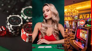 zz777 cassino